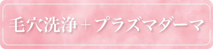 毛穴洗浄＋プラズマダーマ